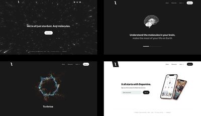 A four-up composite of different screenshots of the Matter website in Figma. The first has an animated starfield, the second has a 3D brain element, made of particles, the third is a hexagonal, organic particle simulation, and the fourth is a call-to-action signup form with two 3D models of iPhones with app screenshots on them